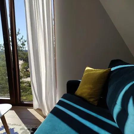 Апартаменты Borovi 21 *