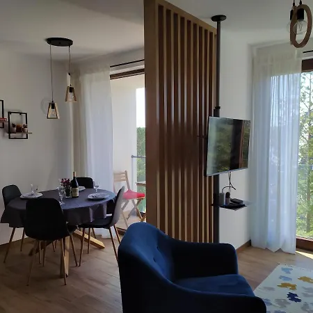 Borovi 21 Apartman *