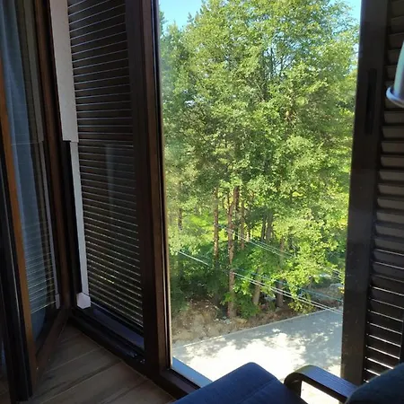 Borovi 21 Divčibare