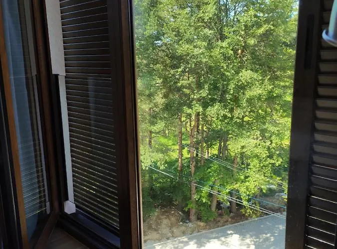 Borovi 21 Divčibare